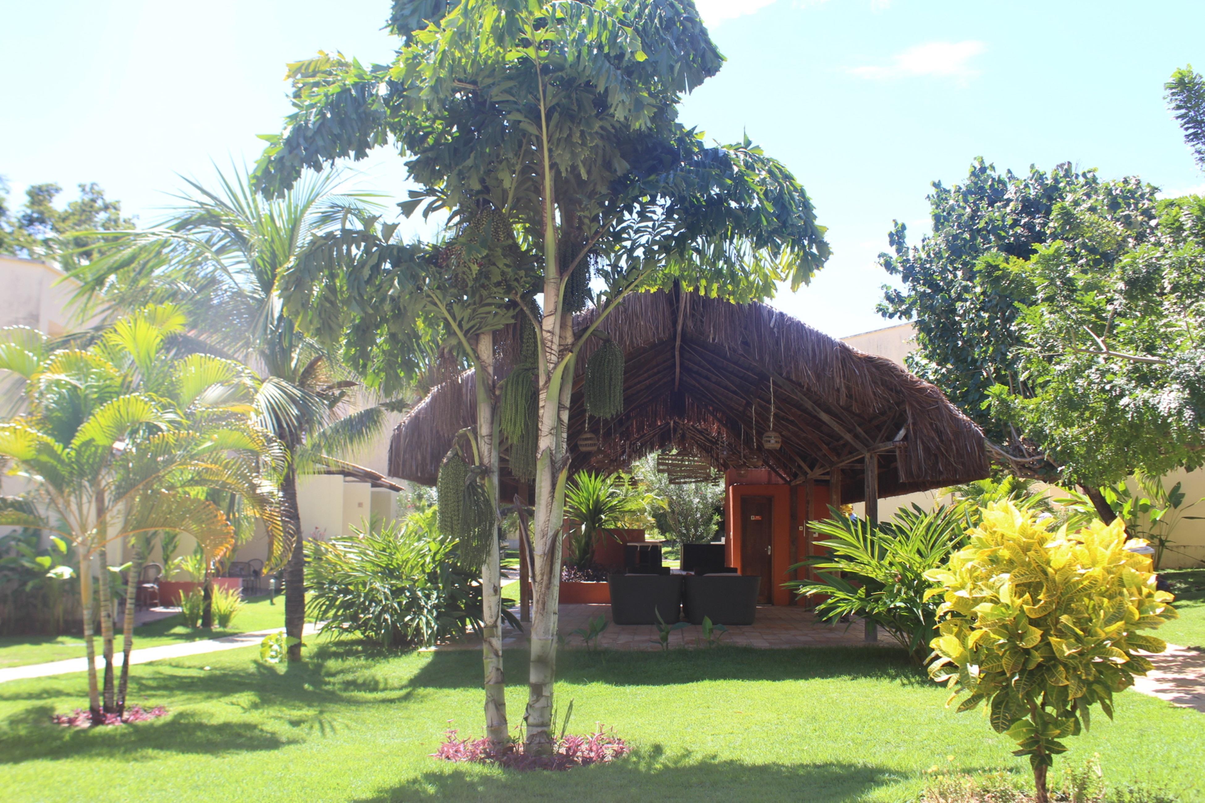 Hotel Pipa Atlantico Praia de Pipa المظهر الخارجي الصورة