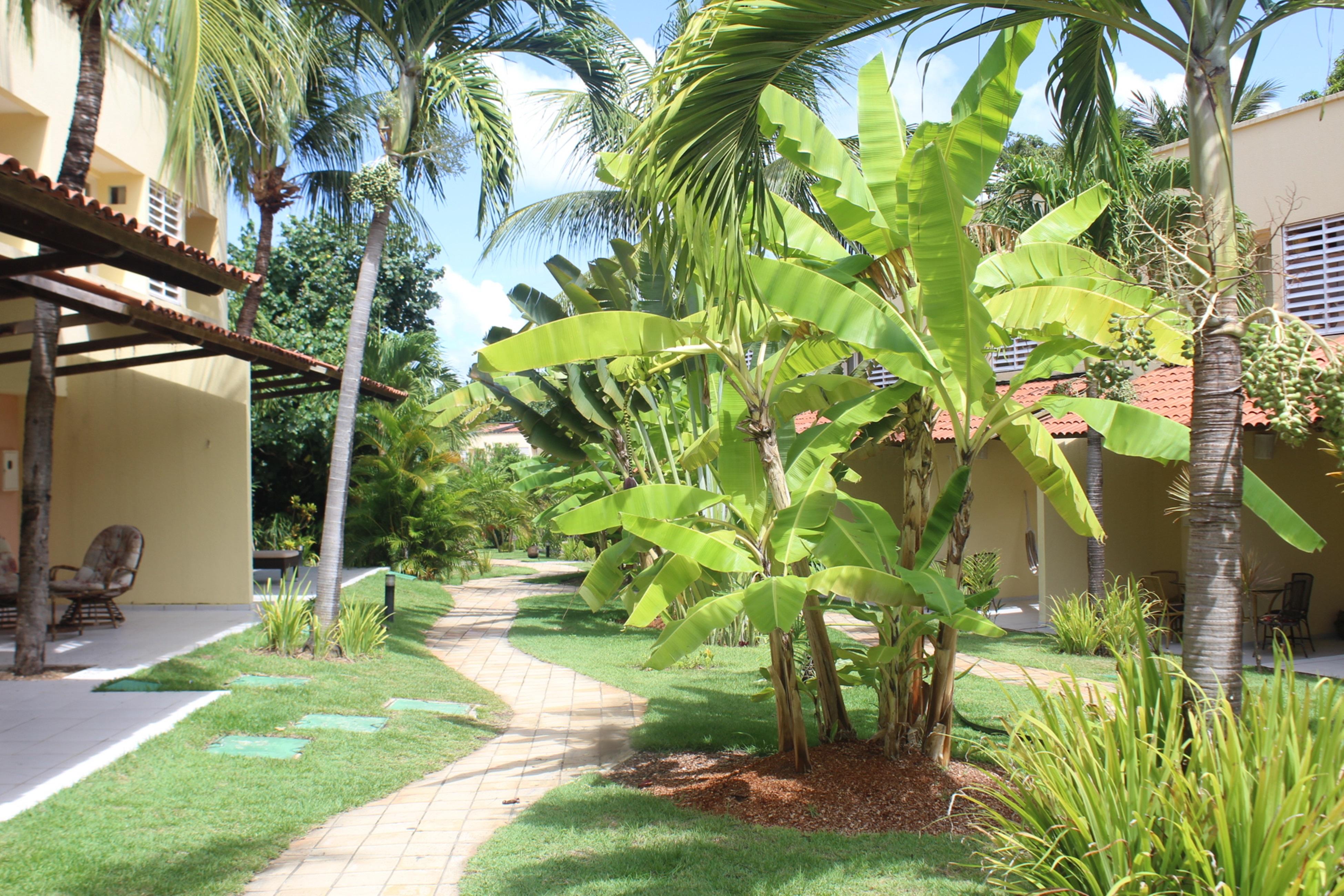 Hotel Pipa Atlantico Praia de Pipa المظهر الخارجي الصورة